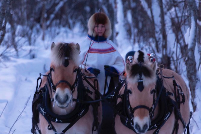 Sleigh Ride w/ Tapas Meal - Experience Arctic Farm Life - Meet the Norwegian fjord horses and farm animals
