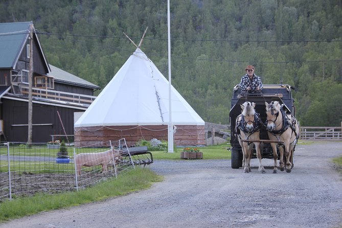 Sleigh Ride w/ Tapas Meal - Experience Arctic Farm Life - Arctic tapas in a Sami lavvo