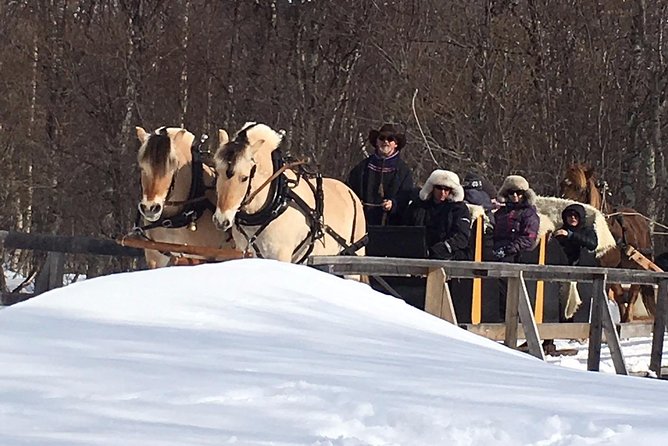 Sleigh Ride w/ Tapas Meal - Experience Arctic Farm Life - Why the personal hosting matters