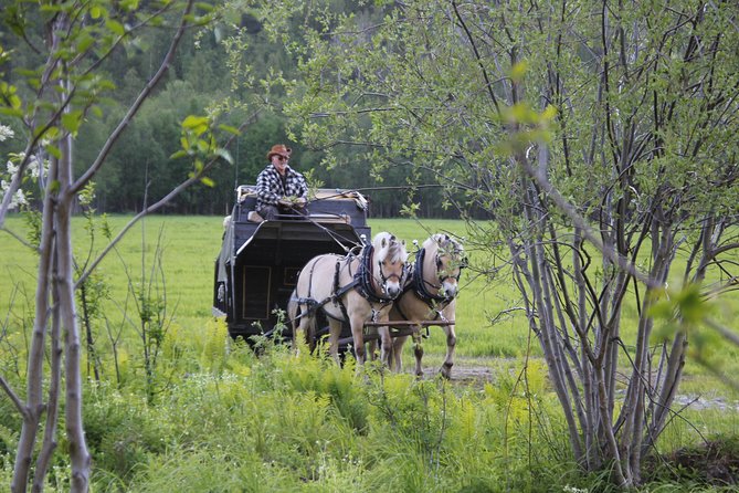 Sleigh Ride w/ Tapas Meal - Experience Arctic Farm Life - Is $236.79 good value?