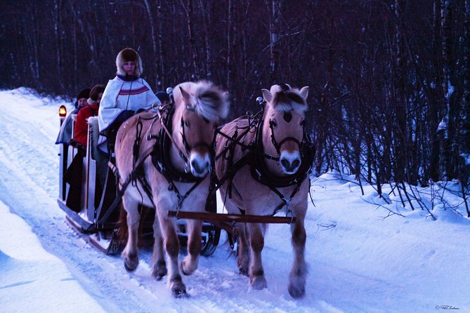 Sleigh Ride w/ Tapas Meal - Experience Arctic Farm Life - Timing, weather, and practical details
