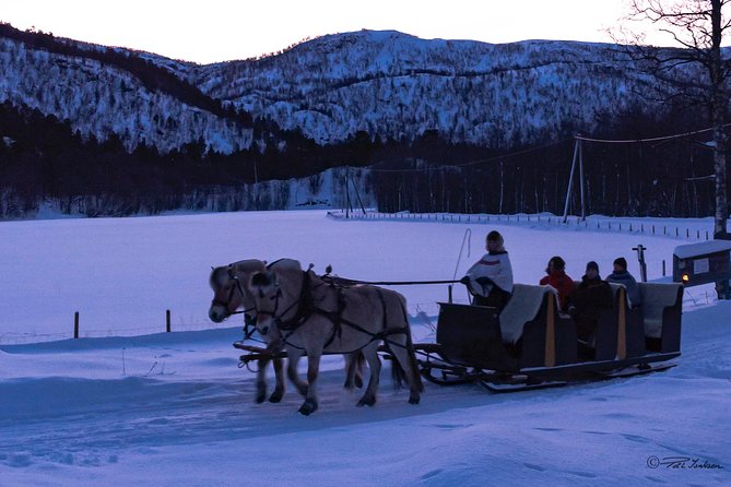 Sleigh Ride w/ Tapas Meal - Experience Arctic Farm Life - Who should book this Alta farm experience?