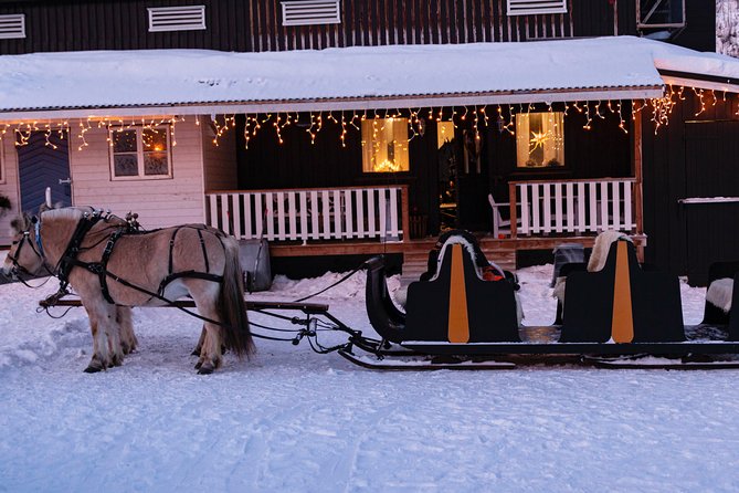 Sleigh Ride w/ Tapas Meal - Experience Arctic Farm Life - A 30-minute sleigh ride through the woods