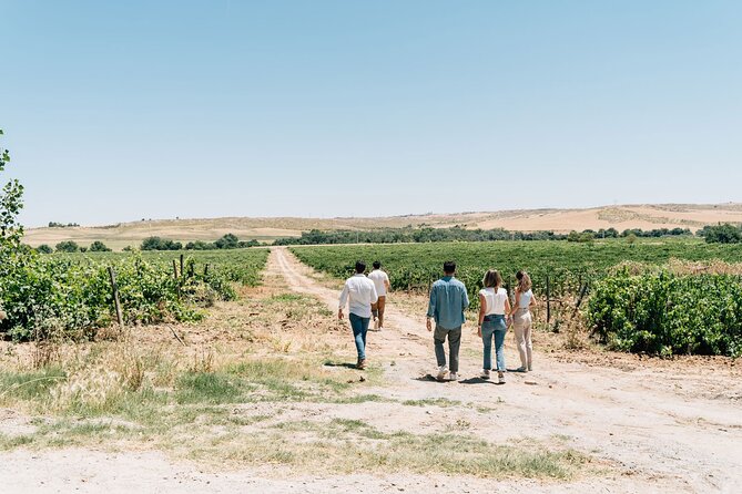 Spanish Villages & Winery Visit with Wine Tasting and Tapas Lunch - Inside Bodega Viñas de El Regajal
