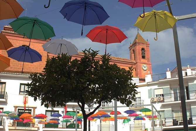 Sun and Wine Route - Small group, wine tasting and tapas included - Booking details worth checking before you pay