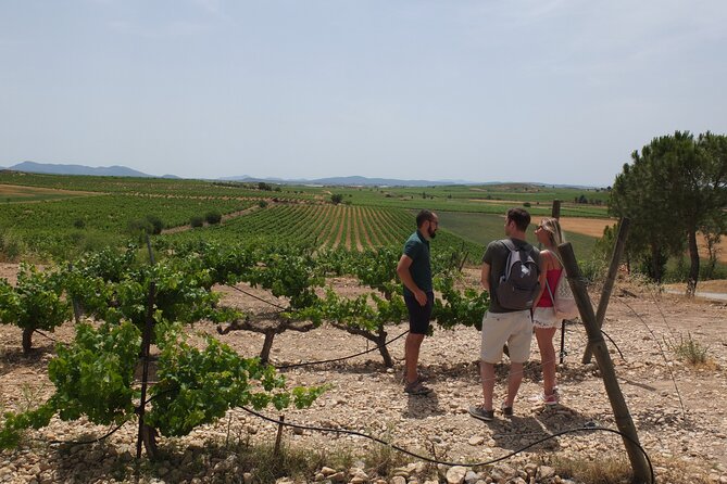 Tapas in the vineyards - Bodega Vera de Estenas and the long tapas lunch