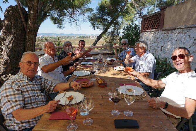 Tapas in the vineyards - The value of a $205.68 private tour