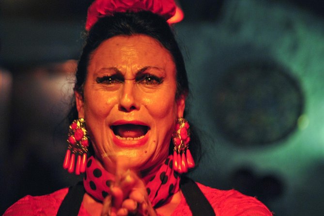 Tapas, Wine and Flamenco Private Tour in Barcelona - Price, pace, and who gets the best value