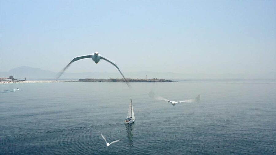 Tarifa: Sailboat Tour, Snorkelling, Tapas & Drinks - Booking details that matter