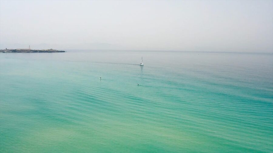 Tarifa: Sailboat Tour, Snorkelling, Tapas & Drinks - Wildlife and the Strait’s special position