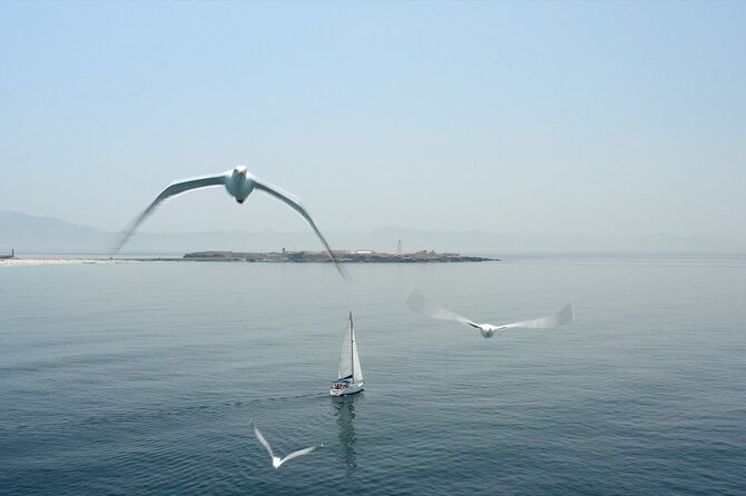 Tarifa Sailing and Snorkeling Excursion with tapas and drinks - What the $114.15 price really covers