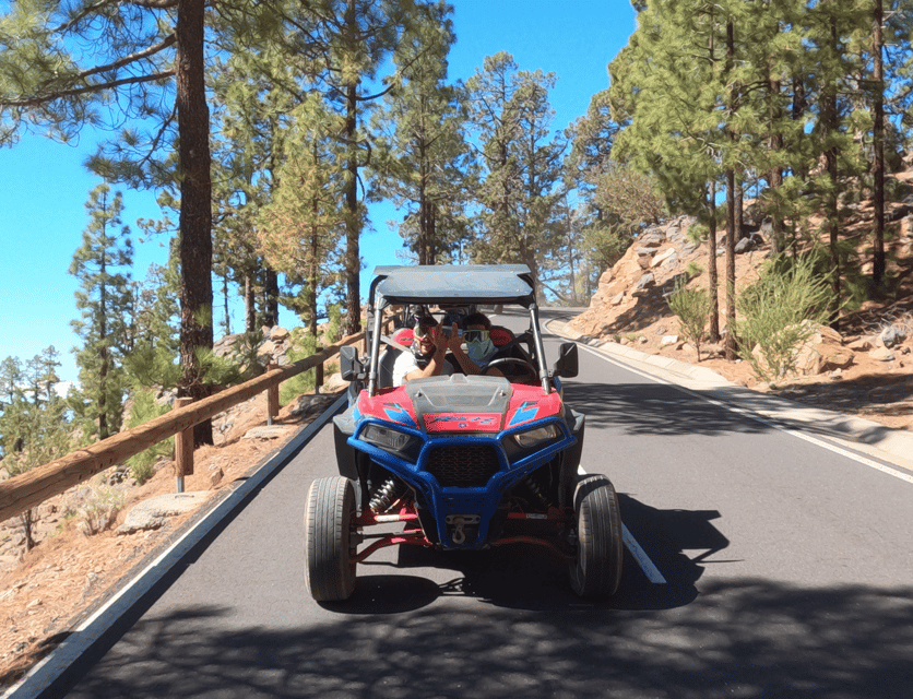 Tenerife: Volcano Teide Buggy Tour with Wine Tasting & Tapas - Who should book this experience?