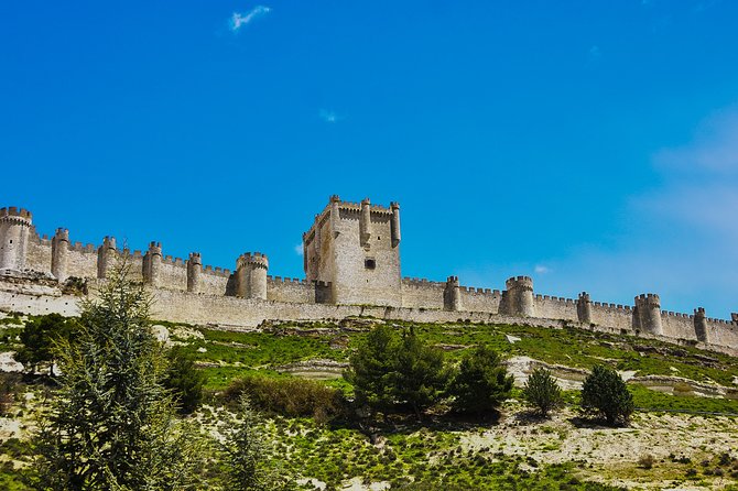 Tour in Ribera del Duero "like a native", with traditional Spanish tapas - Two wineries, from old cellars to modern design