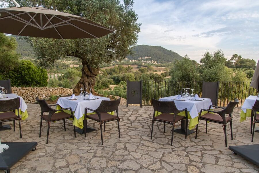 Treurer: Tapas Gourmet and Extra Virgin Olive Oil - Service, presentation, and the dress tip
