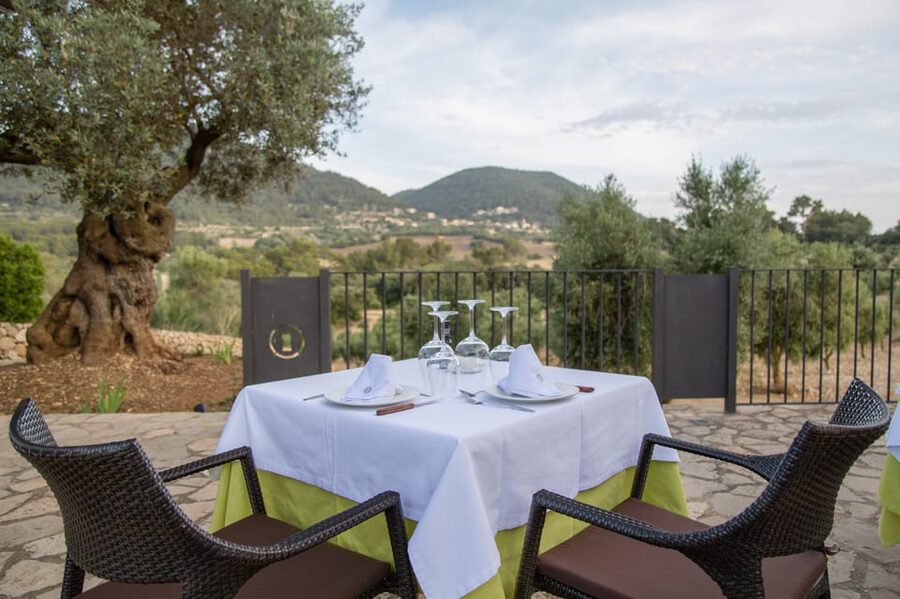 Treurer: Tapas Gourmet and Extra Virgin Olive Oil - Who will enjoy this evening most