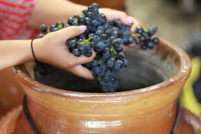 Urban winery tour, premium tasting flight & tapas - Artisan cheese, presunto, and fresh sourdough