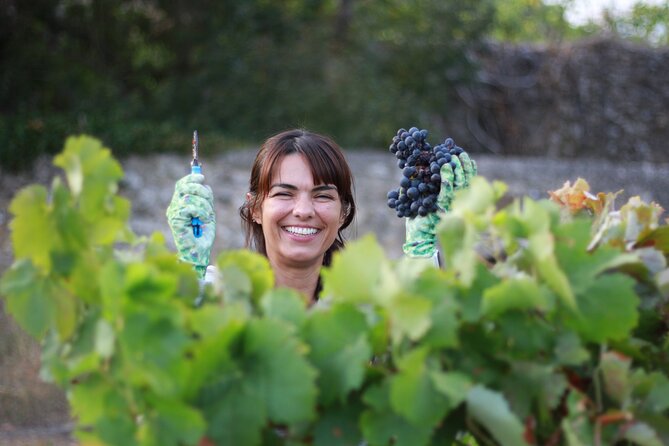 Urban winery tour, premium tasting flight & tapas - Who will enjoy this most?