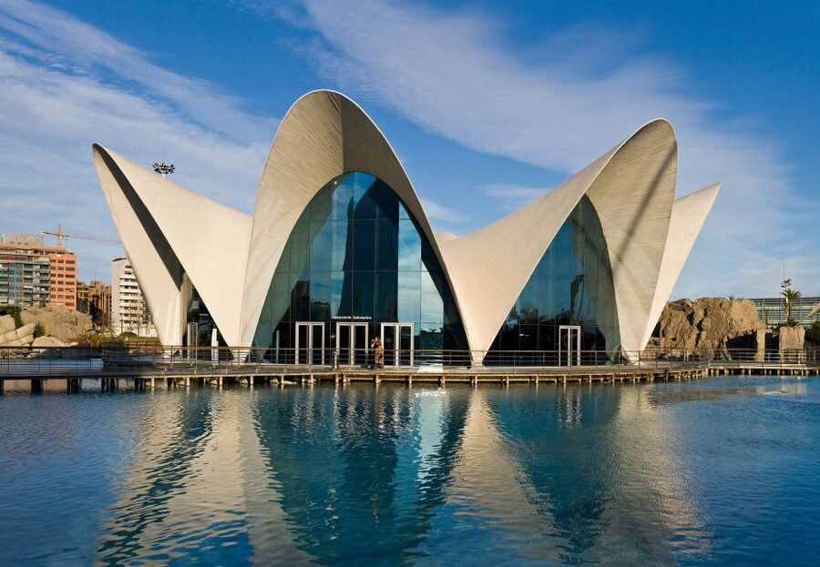Valencia: Guided City Walking Tour with Tapas Tastings - The old bullfighting ring and modern questions