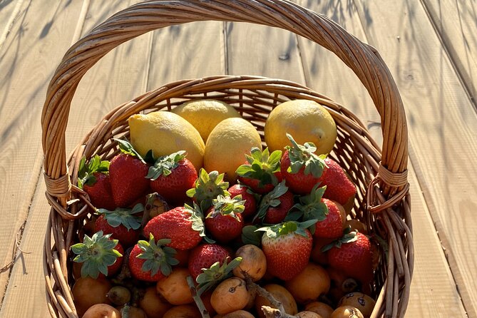 Vilamoura, Albufeira & Porches: Wine Tasting, Tapas & Music Tour - Portuguese music changes the mood