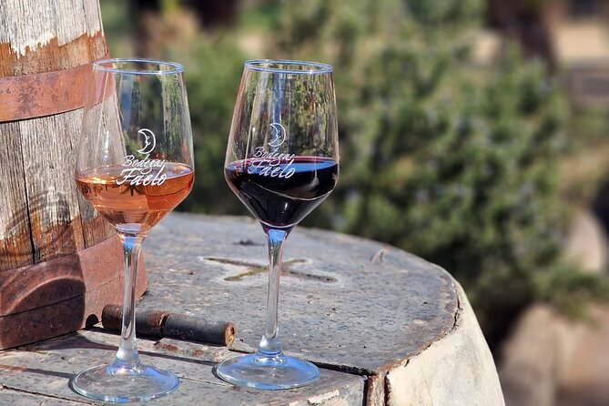 Wine and Tapas Tasting Tour from Alicante, Private Van - Key points to know before you book