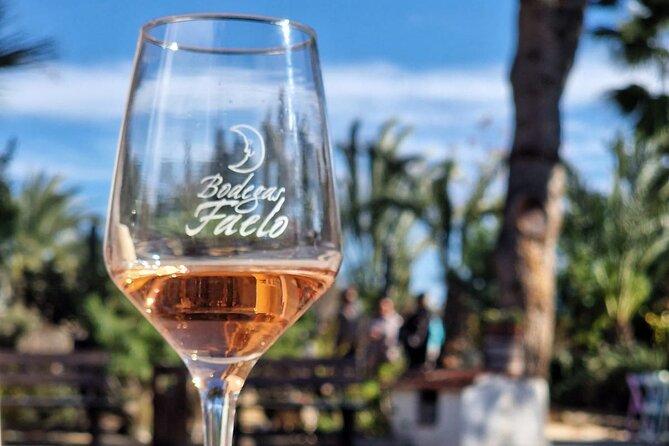 Wine and Tapas Tasting Tour from Alicante, Private Van - Meeting at Bodegas Faelo in Elche