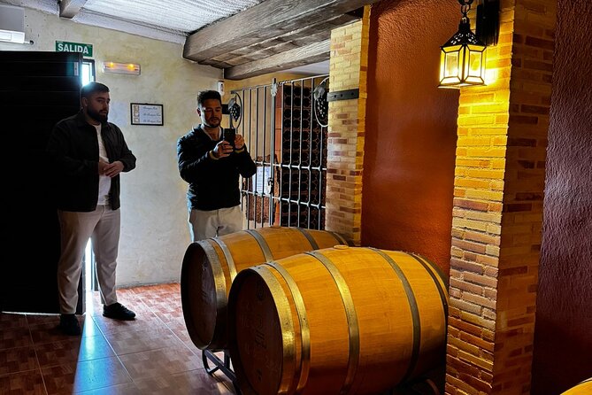 Wine and Tapas Tasting Tour from Alicante, Private Van - Should you book the Bodegas Faelo wine tour?