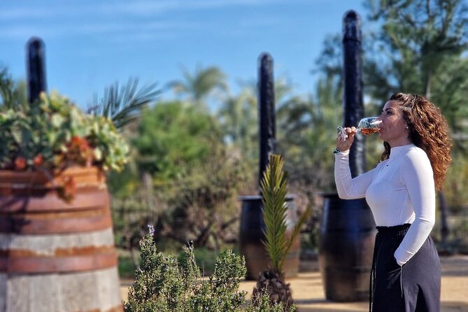 Wine and Tapas Tasting Tour from Alicante, Private Van - Walking through the winery and vineyards