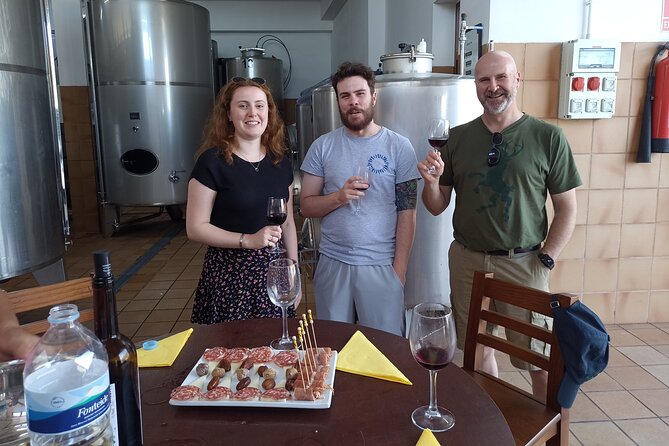 Wine, Canarian Tapas, Culture, VIP Private tour - photos included - Why this Tenerife tour feels different