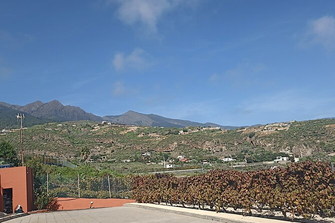 Wine, Canarian Tapas, Culture, VIP Private tour - photos included - Playa de El Roque and the volcanic coast