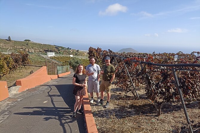 Wine, Canarian Tapas, Culture, VIP Private tour - photos included - Cruise passengers: a practical plan