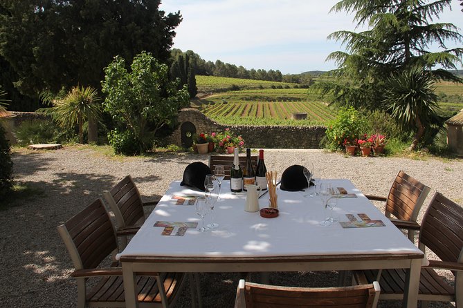 Wine & Cava Penedes Tour: Wineries, Wine Tasting and Tapas - Key points to know before booking