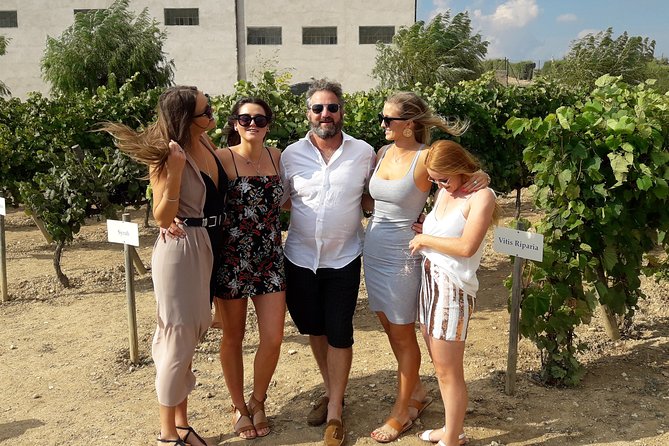 Wine & Cava Penedes Tour: Wineries, Wine Tasting and Tapas - Who should book this Penedès experience?