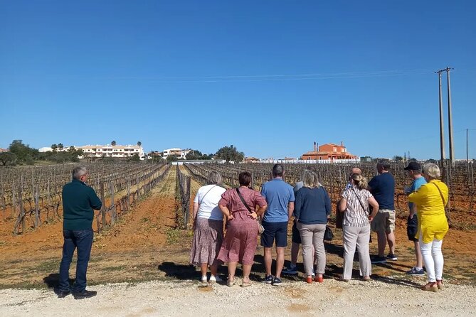 Wine Lovers: Winery Tour w/ Tasting & Tapas (Albufeira/Vilamoura) - Who will enjoy this outing most?