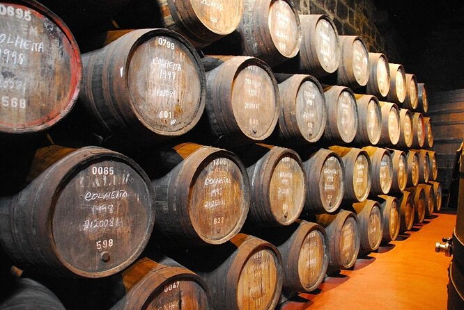Wine, Tapas and Winery Tour - Five things to know before you book
