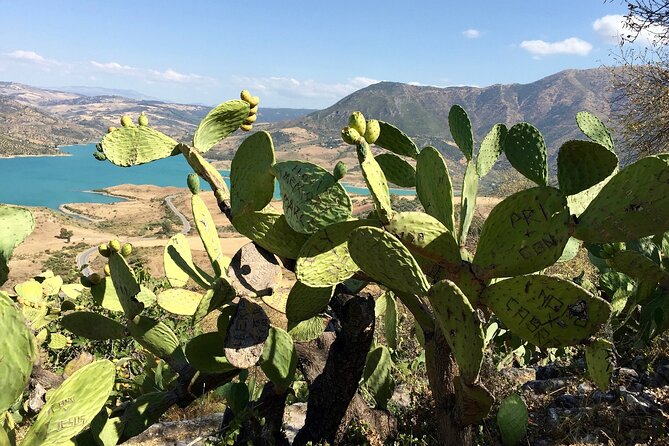 Wine, Tapas & Lake Zahara by e-bike incl Ronda pickup (full day) - The value of $165.61 per person