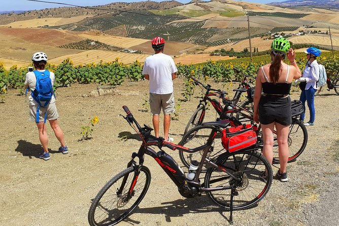Wine, Tapas & Lake Zahara by e-bike incl Ronda pickup (full day) - Who will enjoy this day most