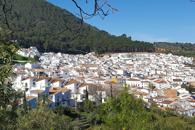 Wine & Tapas tour by electric bike (e-bike) including Ronda pickup (full day) - Why the electric bicycles matter on this route