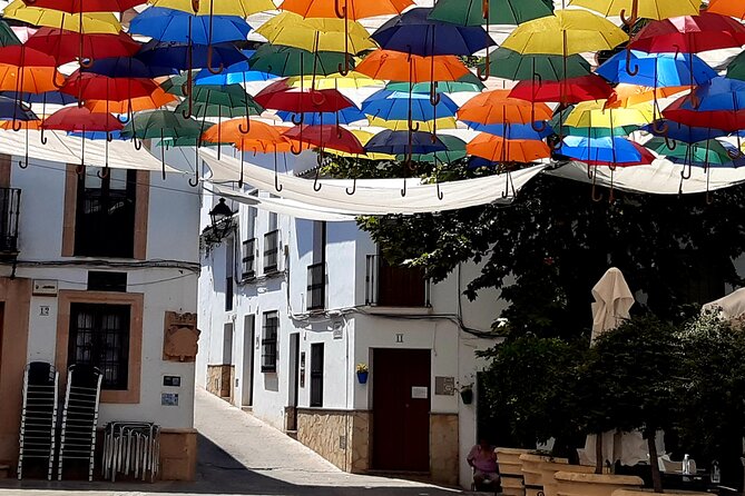 Wine & Tapas tour by electric bike (e-bike) including Ronda pickup (full day) - A private group with a friendly hosting style