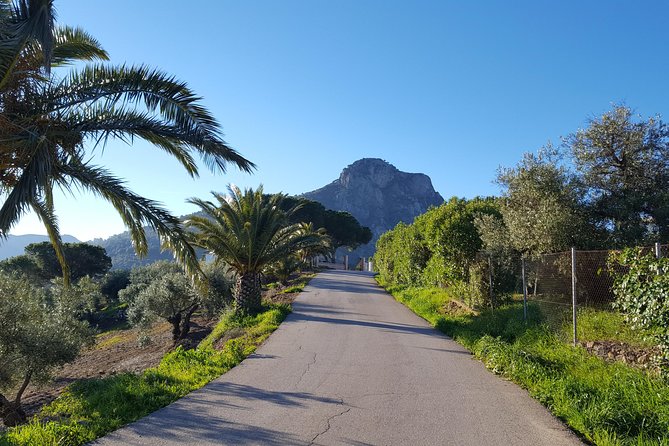 Wine & Tapas tour by electric bike (e-bike) including Ronda pickup (full day) - Is $162.19 per person good value?