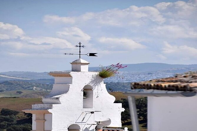 Wine & Tapas tour by electric bike (e-bike) including Ronda pickup (half day) - Who should book this e-bike outing