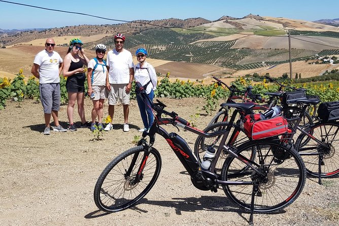 Wine & Tapas tour by electric bike (e-bike) including Ronda pickup (half day) - El Jaral, El Gastor, and Montecorto by bike
