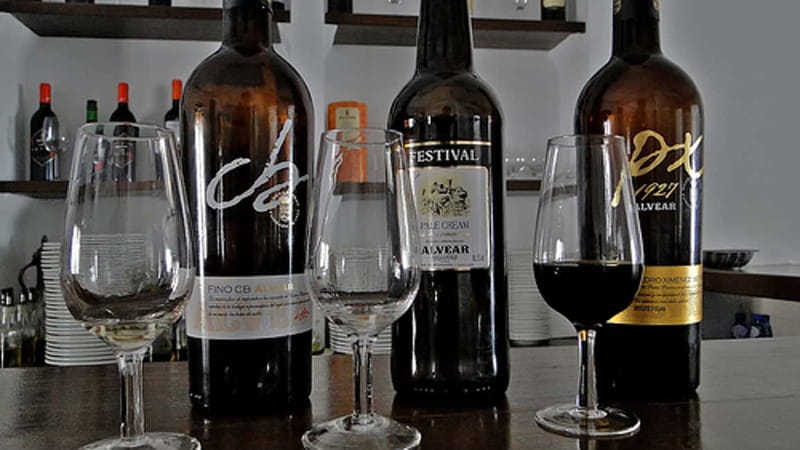 Wine Tasting and local tapas delight in Cordoba - Why Montilla-Moriles belongs on your Córdoba itinerary