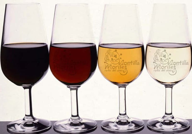 Wine Tasting and local tapas delight in Cordoba - What happens during the 90-minute class
