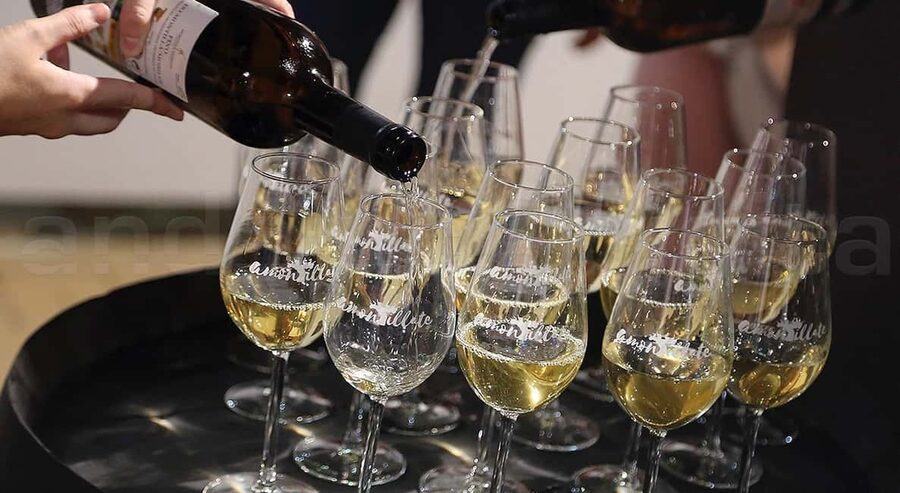 Wine Tasting and local tapas delight in Cordoba - Language, group size, and access