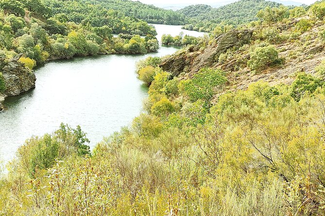 Wine Tasting & Tapas 4x4 Tours - A village coffee break keeps the morning human