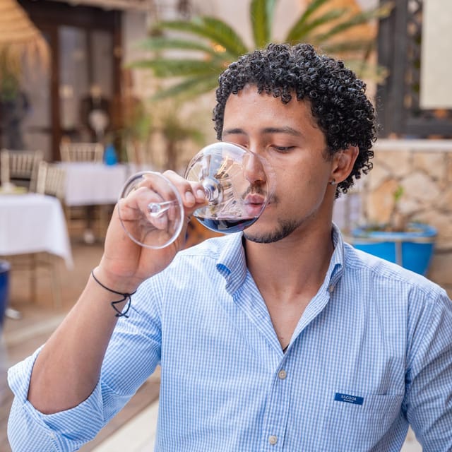 WINE TASTING & TAPAS IN THE HEART OF FARO - Key points to know before booking