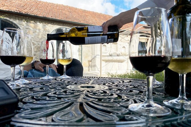 Wine Tasting with Tapas Walking Tour in Porto - Guide quality makes the biggest difference