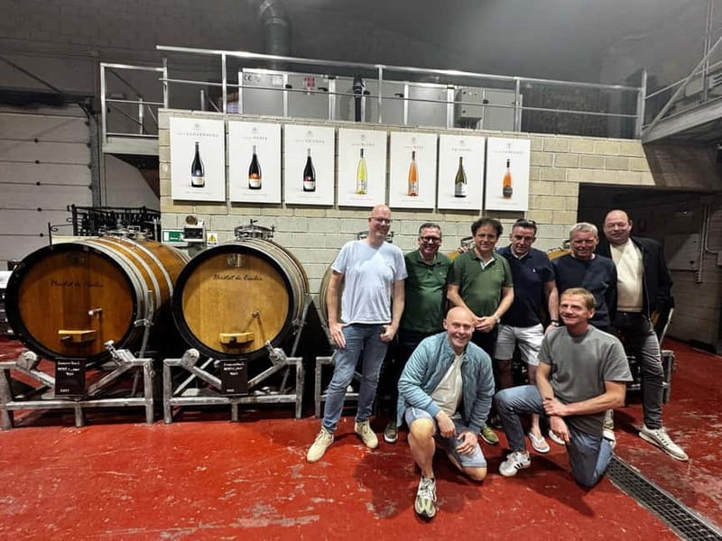 Winery Visit and Tasting in Elche with wines and tapas from Alicante in Van - Key points at a glance
