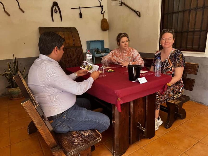 Winery Visit and Tasting in Elche with wines and tapas from Alicante in Van - Who should book this winery outing