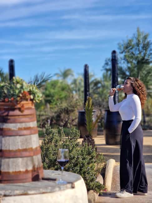 Winery Visit and Tasting in Elche with wines and tapas from Alicante in Van - Booking advice and final verdict
